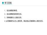 2.3.4  病毒 课件-2024--2025学年人教版生物七年级上册