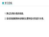 2.4.1  尝试对生物进行分类 课件-2024--2025学年人教版生物七年级上册