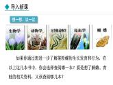 2.4.1  尝试对生物进行分类 课件-2024--2025学年人教版生物七年级上册