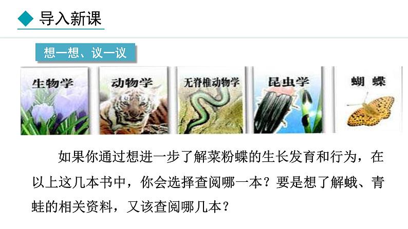 2.4.1  尝试对生物进行分类 课件-2024--2025学年人教版生物七年级上册03