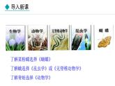 2.4.1  尝试对生物进行分类 课件-2024--2025学年人教版生物七年级上册