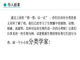 2.4.1  尝试对生物进行分类 课件-2024--2025学年人教版生物七年级上册