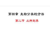 2.4.2  从种到界 课件-2024--2025学年人教版生物七年级上册