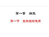 1.1.1  显微镜的使用 课件--2024-2025学年冀少版生物七年级上册