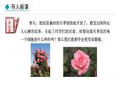 1.1.1  显微镜的使用 课件--2024-2025学年冀少版生物七年级上册