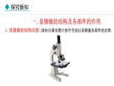 1.1.1  显微镜的使用 课件--2024-2025学年冀少版生物七年级上册