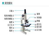 1.1.1  显微镜的使用 课件--2024-2025学年冀少版生物七年级上册