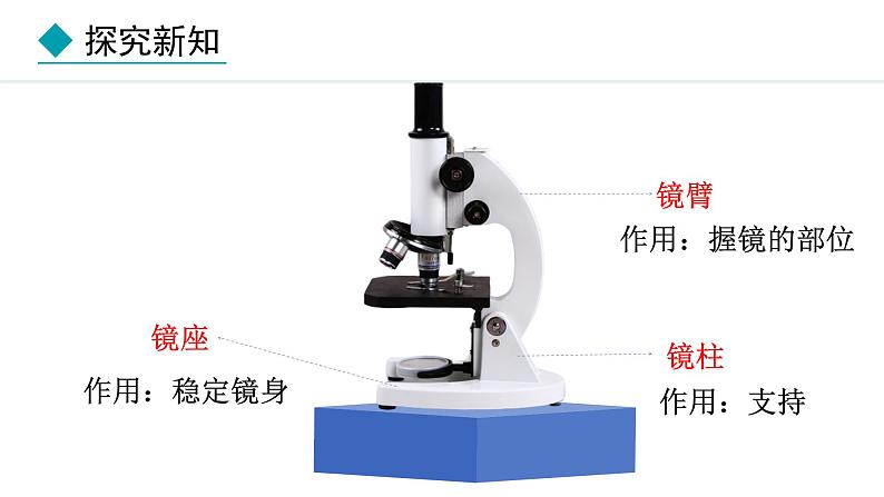 1.1.1  显微镜的使用 课件--2024-2025学年冀少版生物七年级上册07