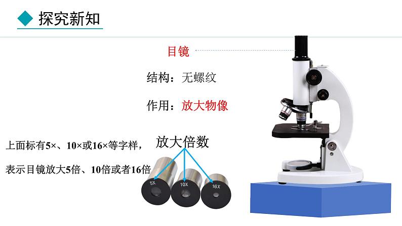 1.1.1  显微镜的使用 课件--2024-2025学年冀少版生物七年级上册08