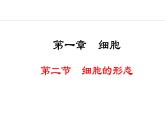 1.1.2  细胞的形态 课件--2024-2025学年冀少版生物七年级上册
