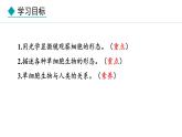 1.1.2  细胞的形态 课件--2024-2025学年冀少版生物七年级上册