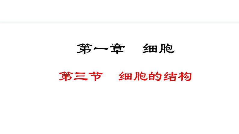 1.1.3  细胞的结构 课件--2024-2025学年冀少版生物七年级上册01