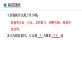 1.1.3  细胞的结构 课件--2024-2025学年冀少版生物七年级上册