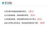 1.1.3  细胞的结构 课件--2024-2025学年冀少版生物七年级上册