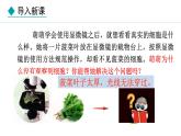 1.1.3  细胞的结构 课件--2024-2025学年冀少版生物七年级上册