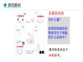 1.1.4  细胞的生命活动 课件--2024-2025学年冀少版生物七年级上册