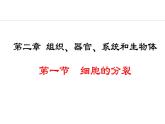 1.2.1  细胞的分裂 课件--2024-2025学年冀少版生物七年级上册