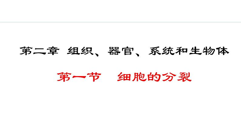 1.2.1  细胞的分裂 课件--2024-2025学年冀少版生物七年级上册01