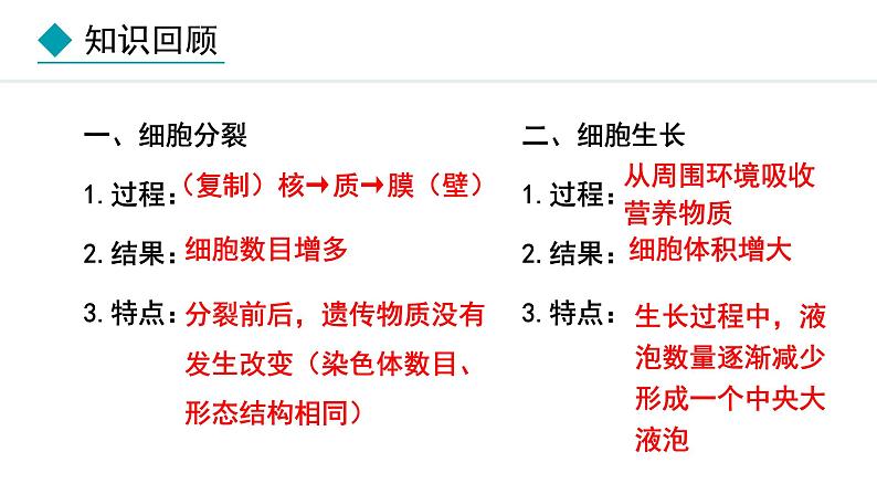 1.2.2  组织的形成 课件--2024-2025学年冀少版生物七年级上册04