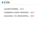 1.2.3  器官和系统 课件--2024-2025学年冀少版生物七年级上册