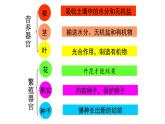 1.2.3  器官和系统 课件--2024-2025学年冀少版生物七年级上册