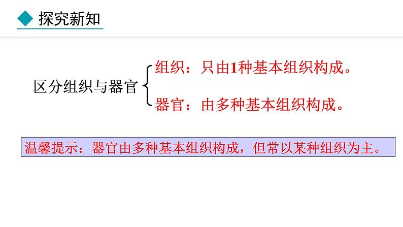 1.2.3  器官和系统 课件--2024-2025学年冀少版生物七年级上册08