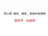 1.2.4  生物体 课件--2024-2025学年冀少版生物七年级上册