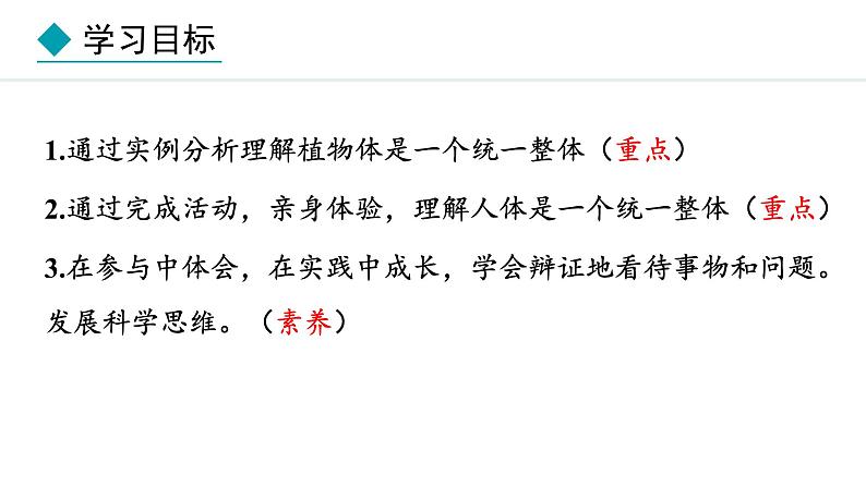 1.2.4  生物体 课件--2024-2025学年冀少版生物七年级上册02