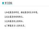2.1.1  藻类 课件--2024-2025学年冀少版生物七年级上册