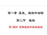 2.1.2  第1课时  苔藓植物和蕨类植物 课件--2024-2025学年冀少版生物七年级上册