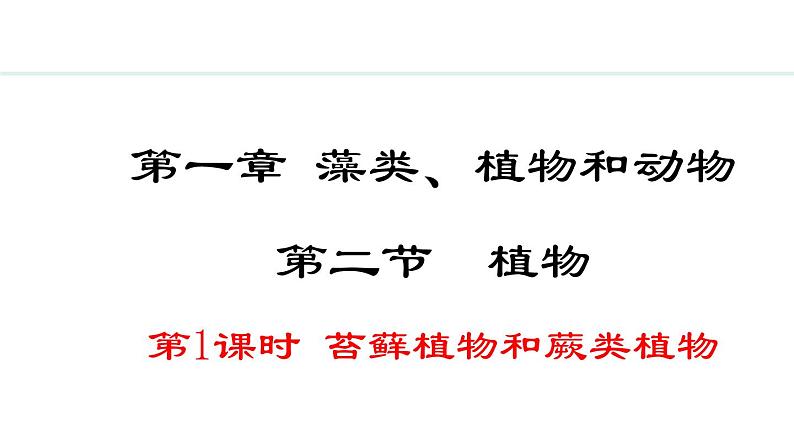 2.1.2  第1课时  苔藓植物和蕨类植物 课件--2024-2025学年冀少版生物七年级上册01