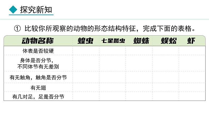2.1.3  第2课时  节肢动物 课件--2024-2025学年冀少版生物七年级上册05