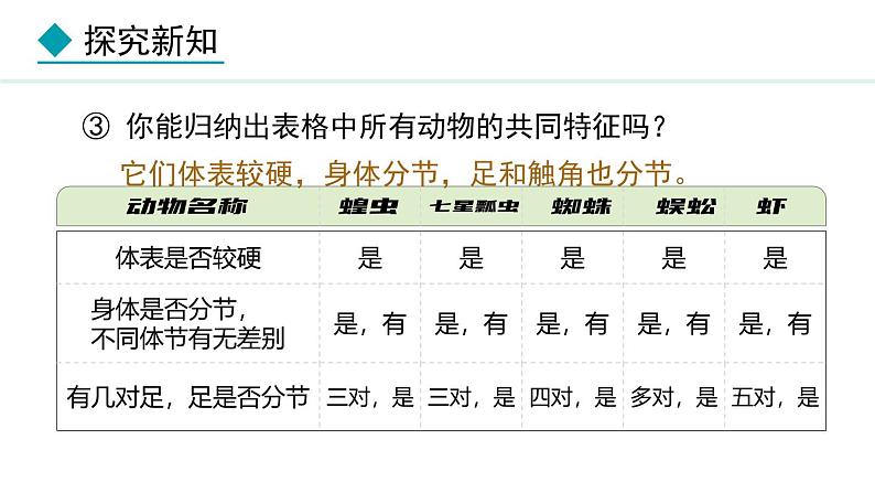 2.1.3  第2课时  节肢动物 课件--2024-2025学年冀少版生物七年级上册08