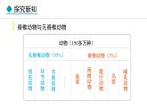 2.1.4  第1课时  鱼类 课件--2024-2025学年冀少版生物七年级上册