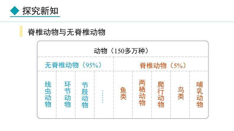 2.1.4  第1课时  鱼类 课件--2024-2025学年冀少版生物七年级上册04