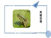 2.1.4  第2课时  两栖类和爬行类 课件--2024-2025学年冀少版生物七年级上册