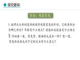 2.1.4  第4课时  哺乳类 课件--2024-2025学年冀少版生物七年级上册