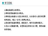 2.2.1  病毒 课件--2024-2025学年冀少版生物七年级上册
