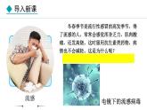 2.2.1  病毒 课件--2024-2025学年冀少版生物七年级上册