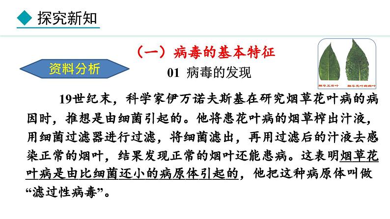 2.2.1  病毒 课件--2024-2025学年冀少版生物七年级上册04