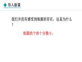 2.2.2  细菌 课件--2024-2025学年冀少版生物七年级上册