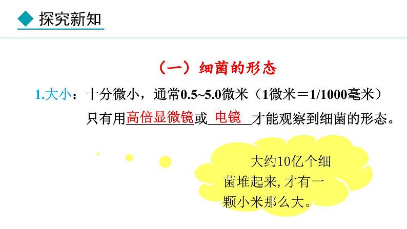 2.2.2  细菌 课件--2024-2025学年冀少版生物七年级上册06