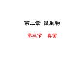2.2.3  真菌 课件--2024-2025学年冀少版生物七年级上册