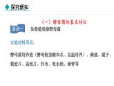 2.2.3  真菌 课件--2024-2025学年冀少版生物七年级上册