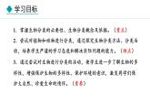 2.3.1  生物的分类 课件--2024-2025学年冀少版生物七年级上册