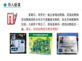 2.3.1  生物的分类 课件--2024-2025学年冀少版生物七年级上册