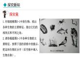 2.3.1  生物的分类 课件--2024-2025学年冀少版生物七年级上册