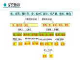 2.3.1  生物的分类 课件--2024-2025学年冀少版生物七年级上册