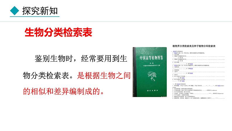 2.3.2  生物的鉴别 课件--2024-2025学年冀少版生物七年级上册05