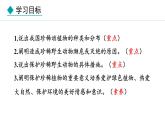 2.4.1  我国的珍稀动植物资源 课件--2024-2025学年冀少版生物七年级上册